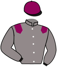 Casaque de NATIVE RULER