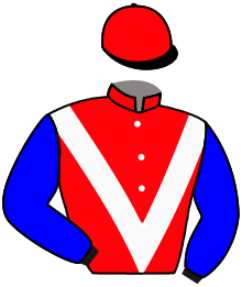 Casaque de TEN VICTORY