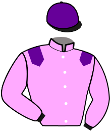 Casaque de ONE WAY TO WIN