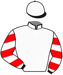 Casaque de LOULOU'S TEAM