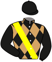 Casaque de WELL DONE