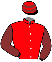 Casaque de IRONHORSE HAS
