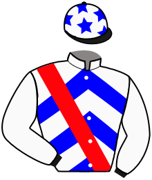 Casaque de L'AGORA GAME