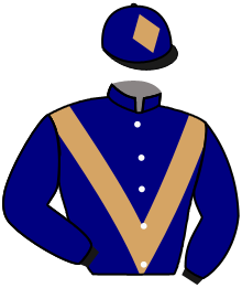 Casaque de KNIGHTOFTHEFOREST