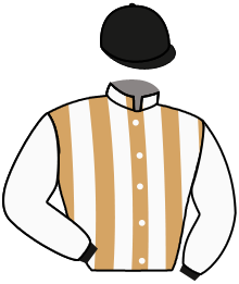 Casaque de KING MOTIF