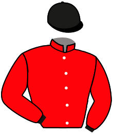 Casaque de MISTRAL DE CANDALE