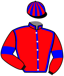 Casaque de DON RAYNAL