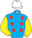 Casaque de SHE'S A LADY PAT