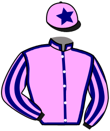 Casaque de BELLE OF THE BALL