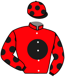 Casaque de PERSHING