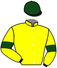 Casaque de CHASING GREAT