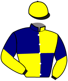 Casaque de JANGO BLEU