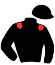 Casaque de JACK FOREST MO