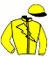 Casaque de PANDORA AL GUNAY